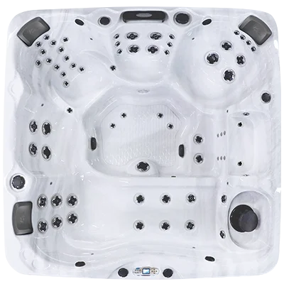 Avalon EC-867L hot tubs for sale in Petaluma