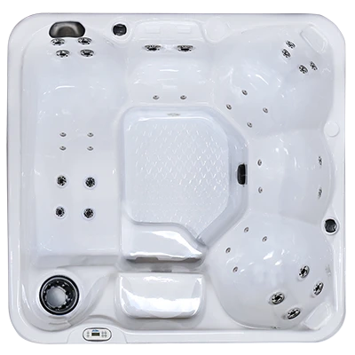 Hawaiian PZ-636L hot tubs for sale in Petaluma